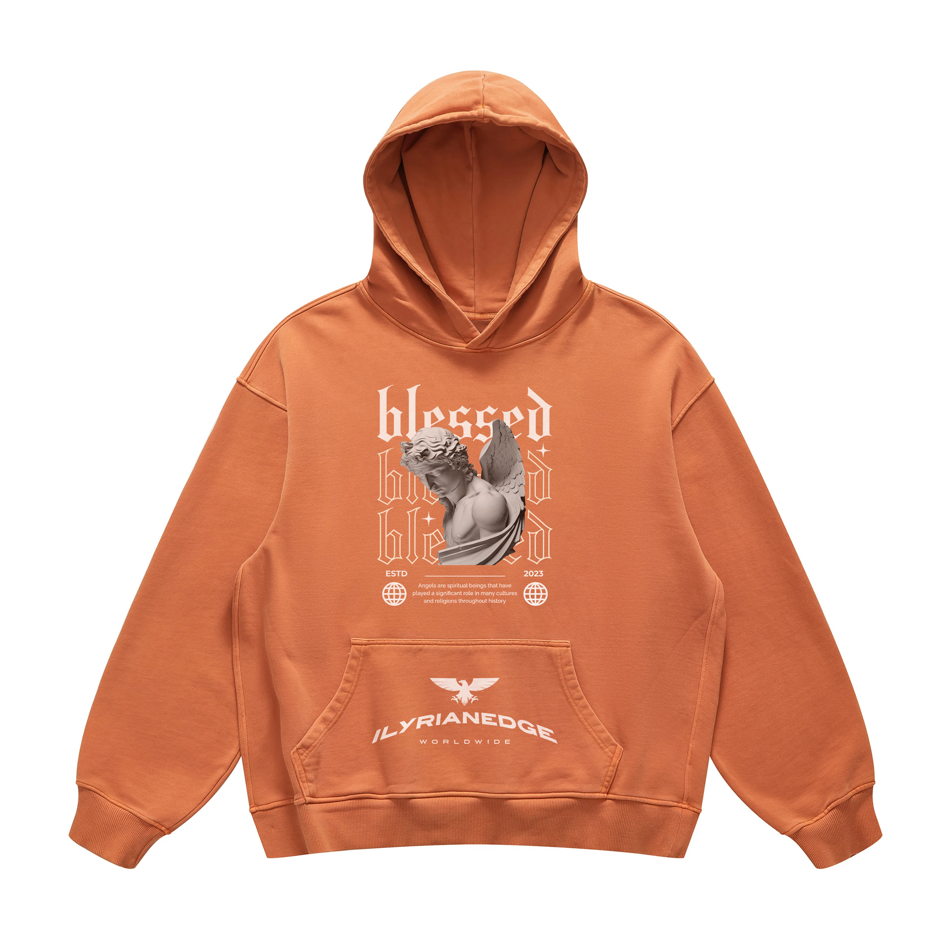Blessed Hoodie | Oversized Retro Hoodie | ILYRIANEDGE