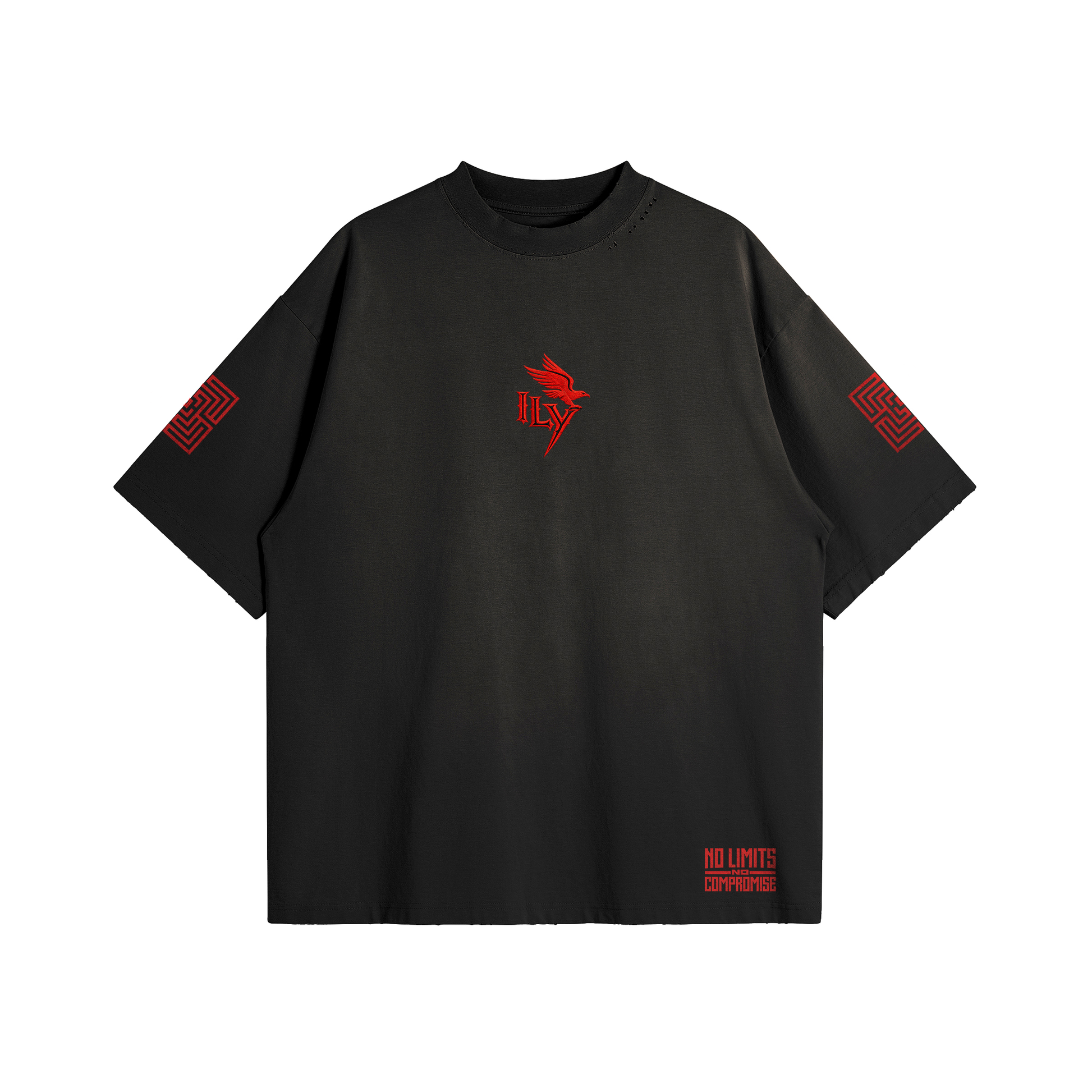 ILY | Distressed Sun-Faded T-Shirt | ILYRIANEDGE