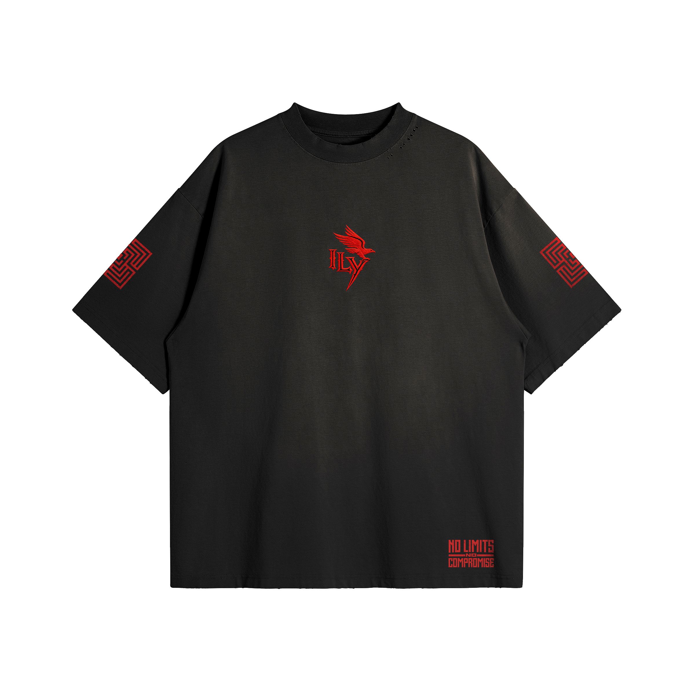 ILY | Distressed Sun-Faded T-Shirt | ILYRIANEDGE