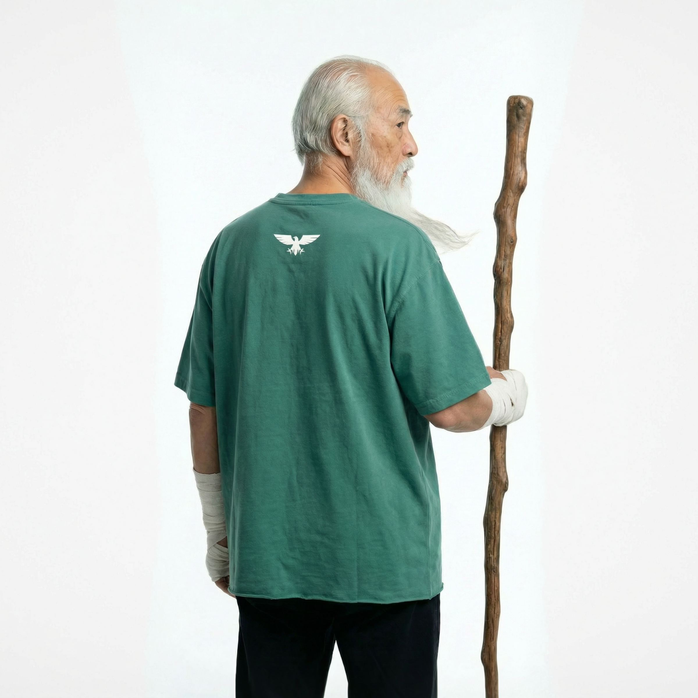 Splinter Ninja Turtles