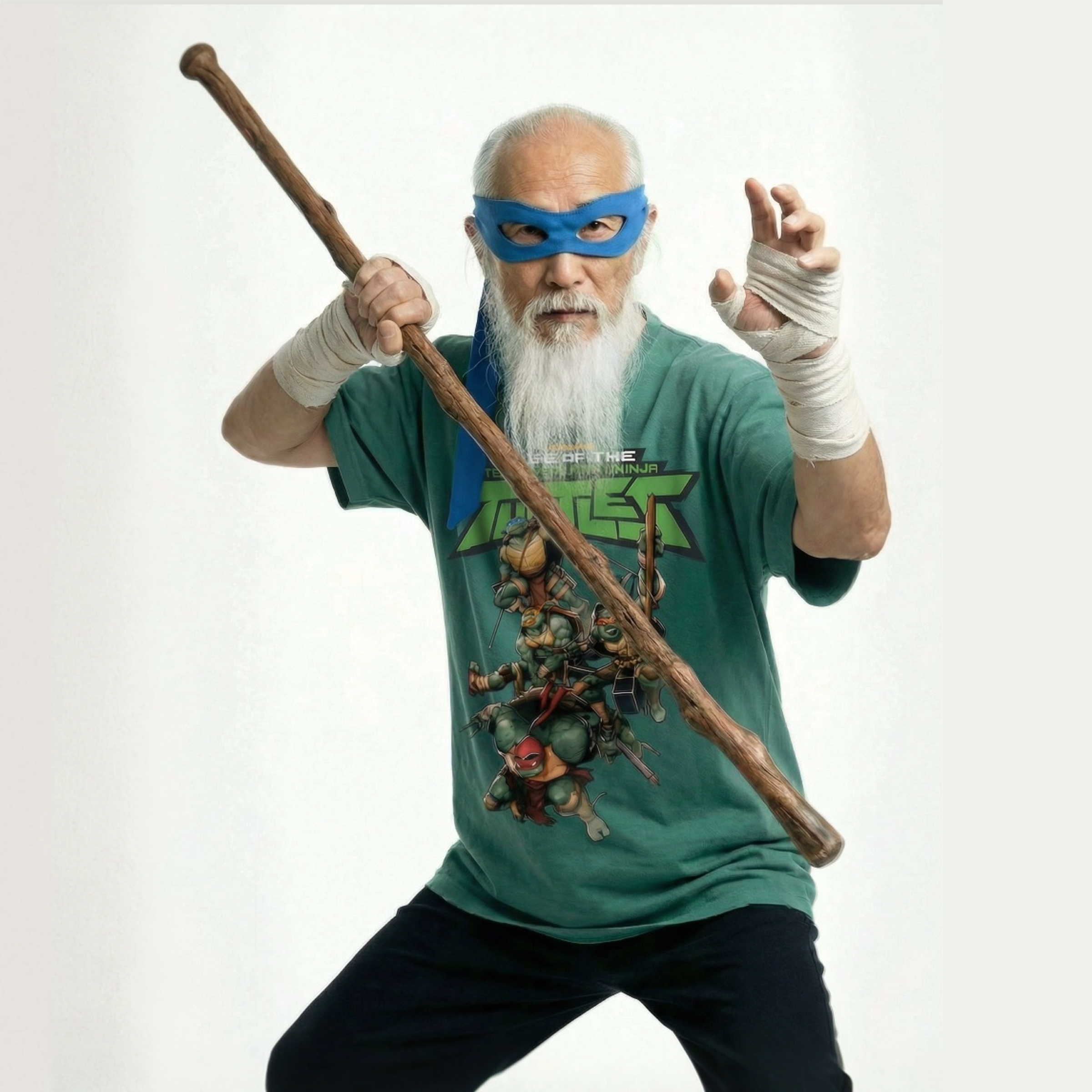 Splinter Ninja Turtles