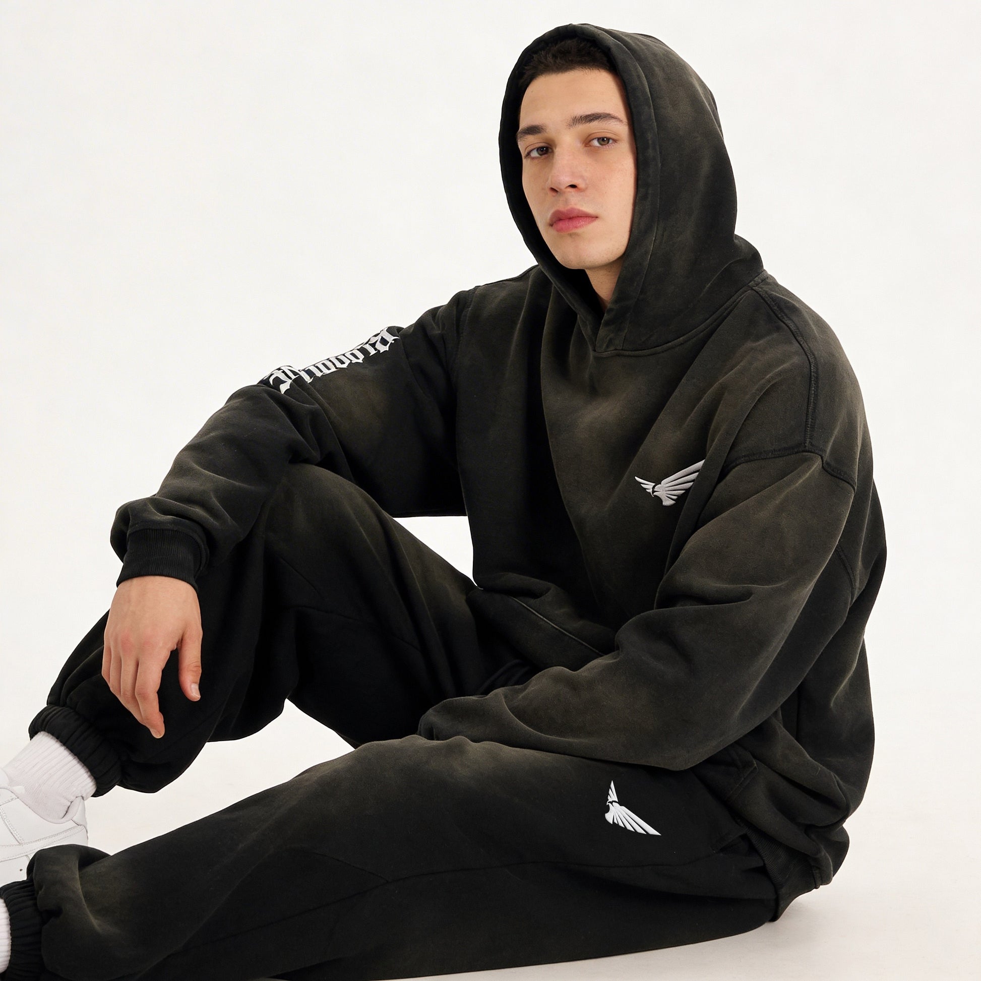 Bloodline 2.0 - 400GSM Unisex Super Heavyweight Sun Faded Hoodie