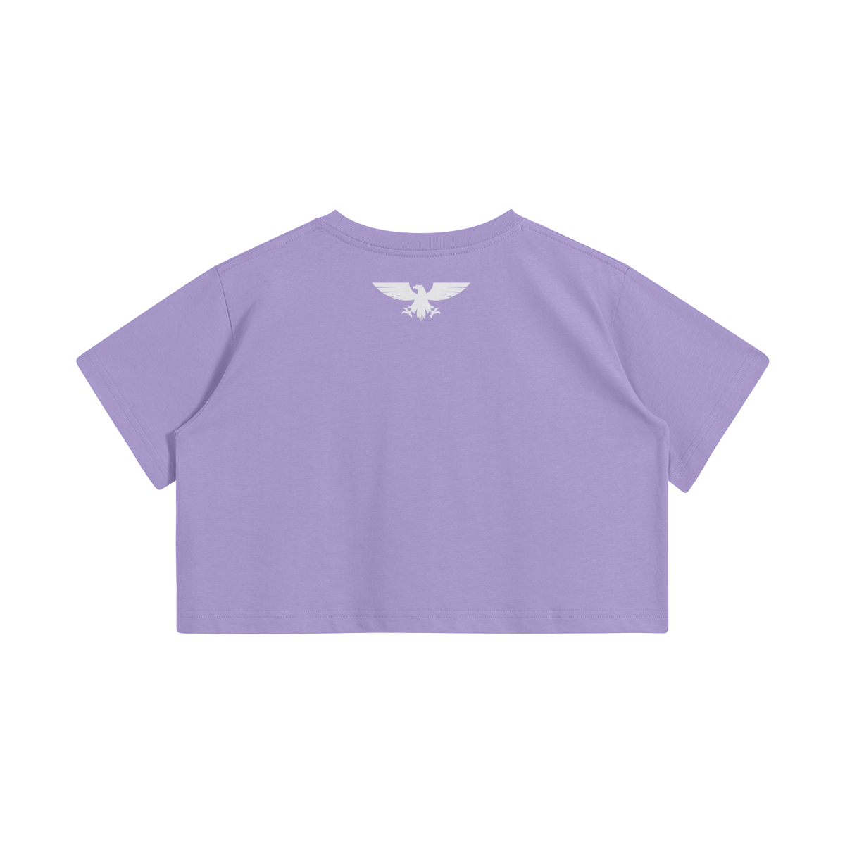 0-Y7A-Back Side