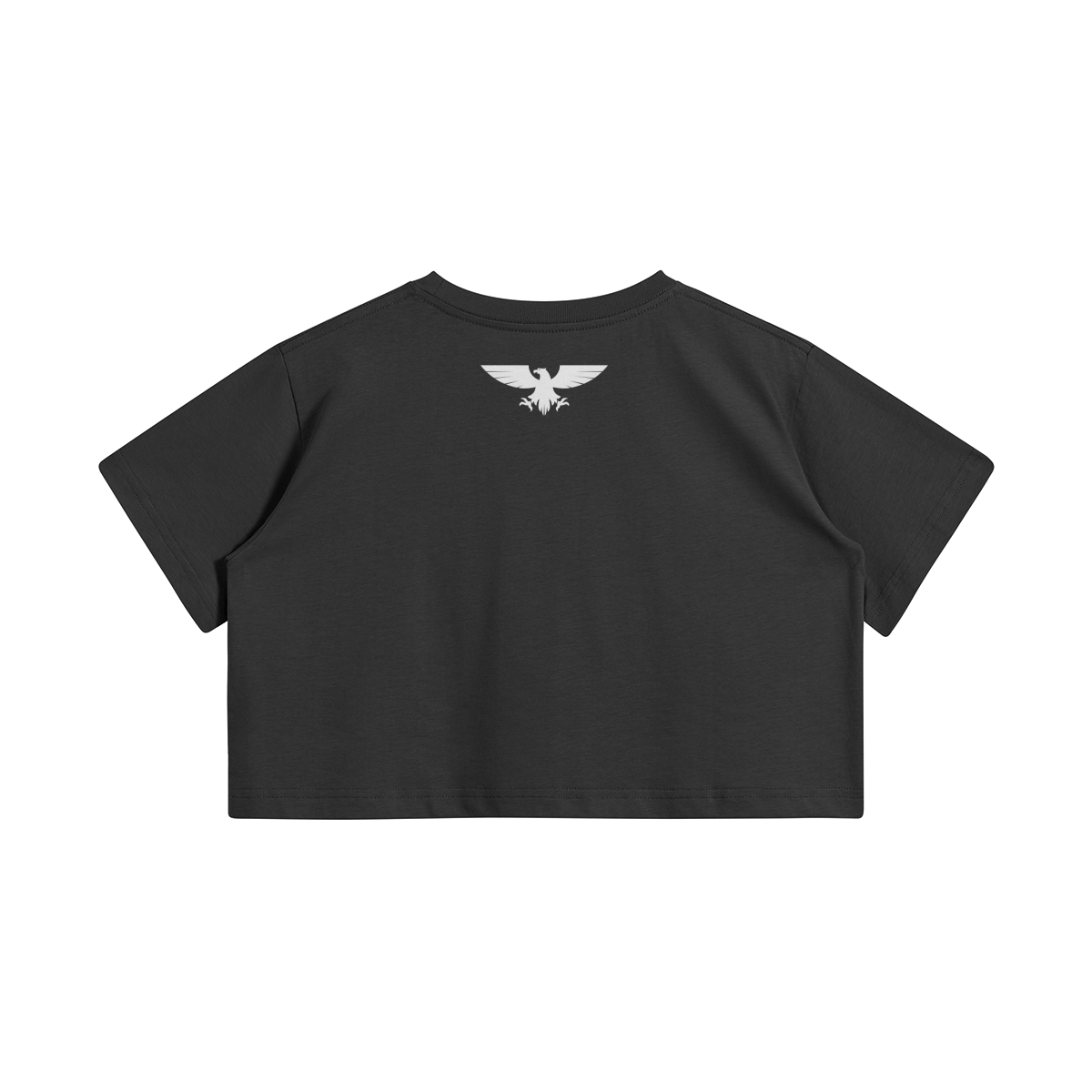 0-Y76-Back Side