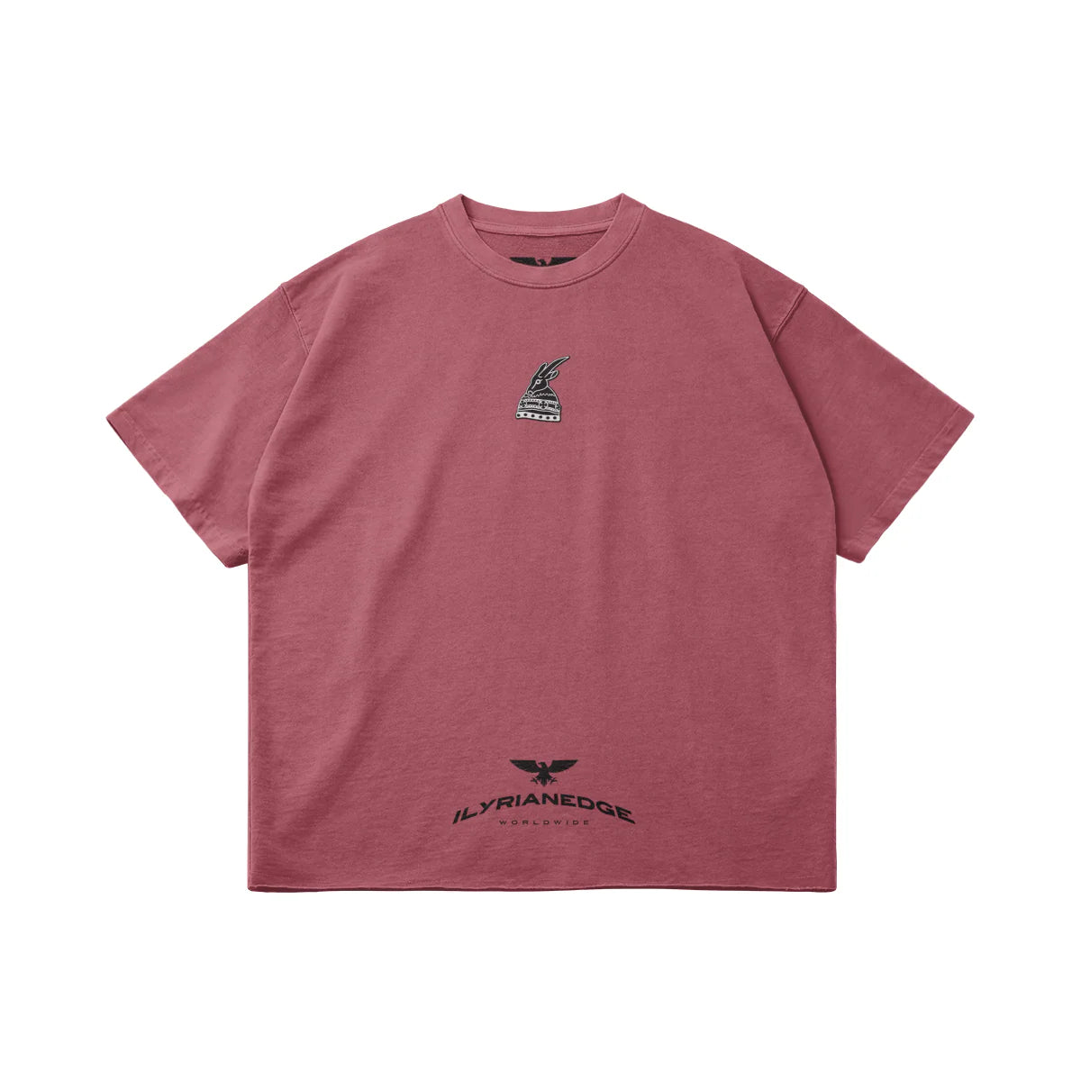 Skender T-Shirt | Faded Raw Hem Tee | ILYRIANEDGE