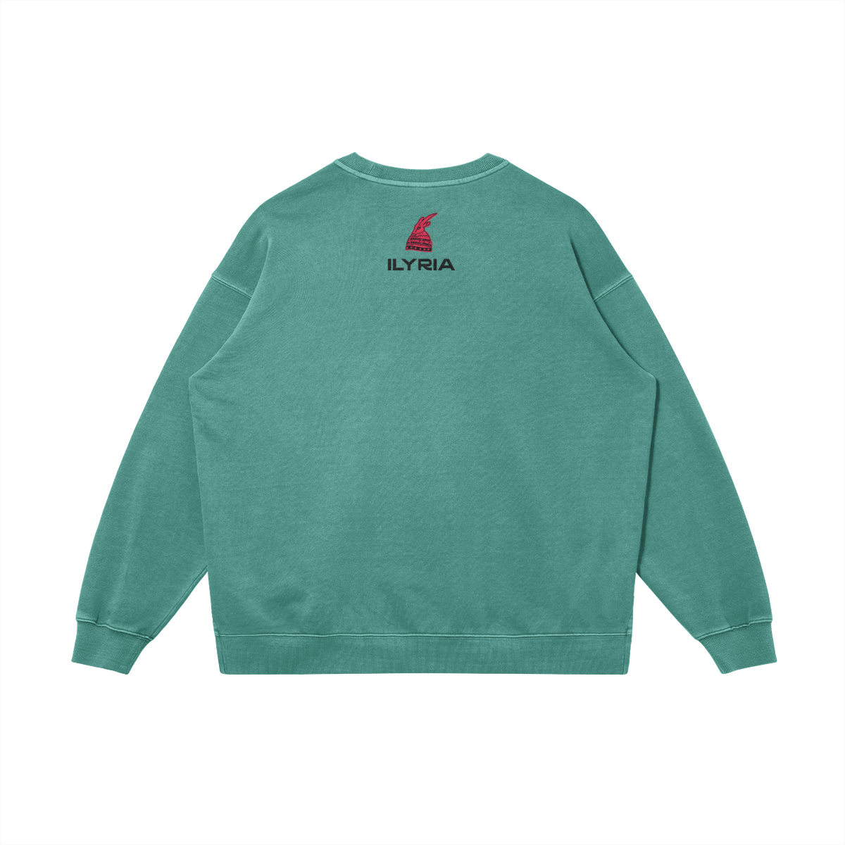 0-Y95-Back Side
